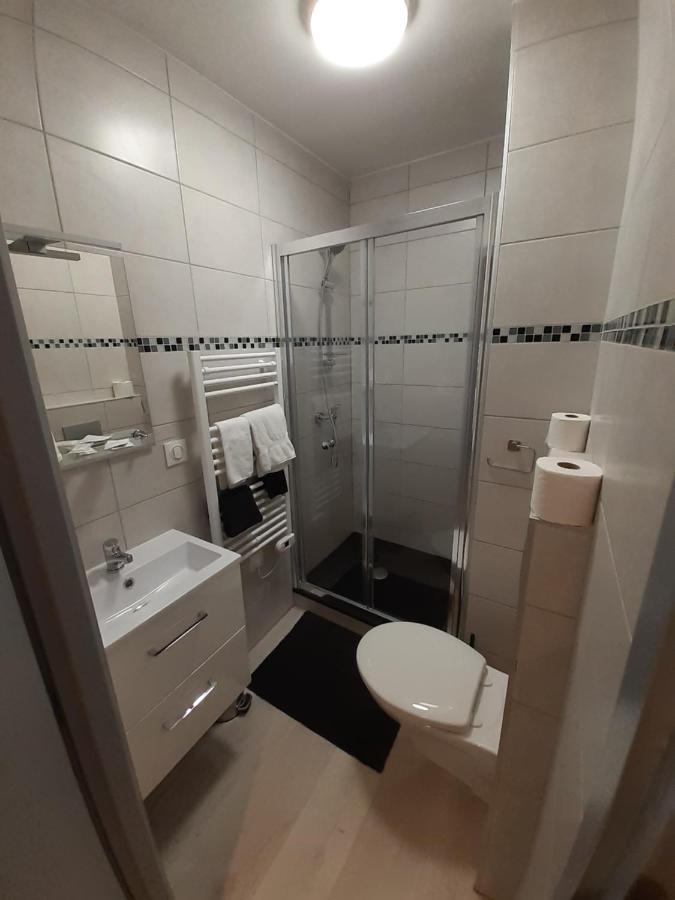 Les Appartements Du Saint Hubert Arcis-sur-Aube Exterior photo